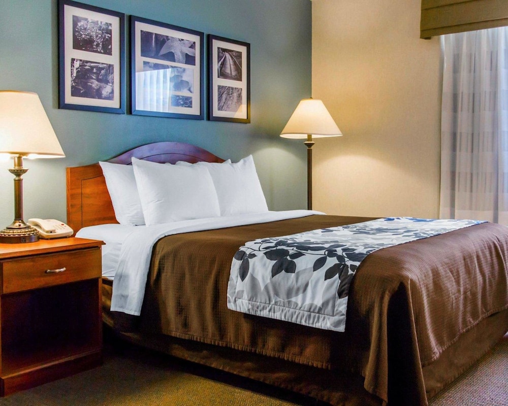 Room, 1 Queen Bed, Accessible, Non Smoking photo 1