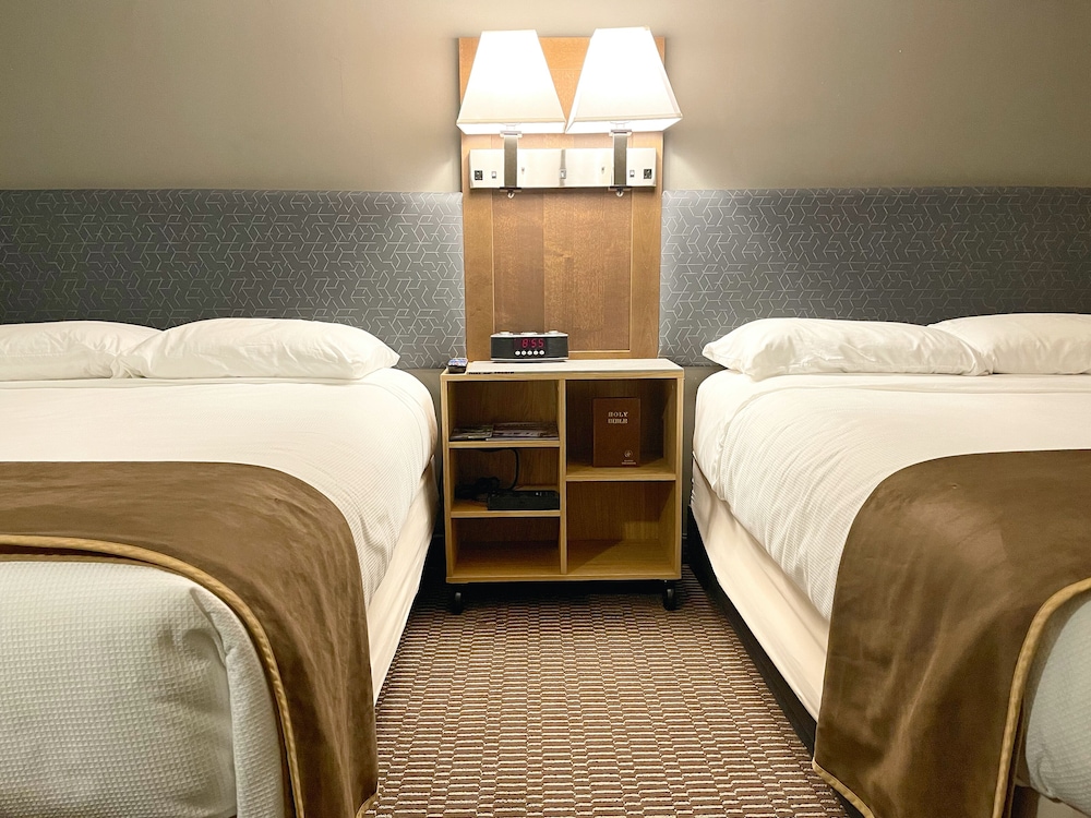 Premium Double Room, 2 Double Beds, Refrigerator & Microwave photo 1