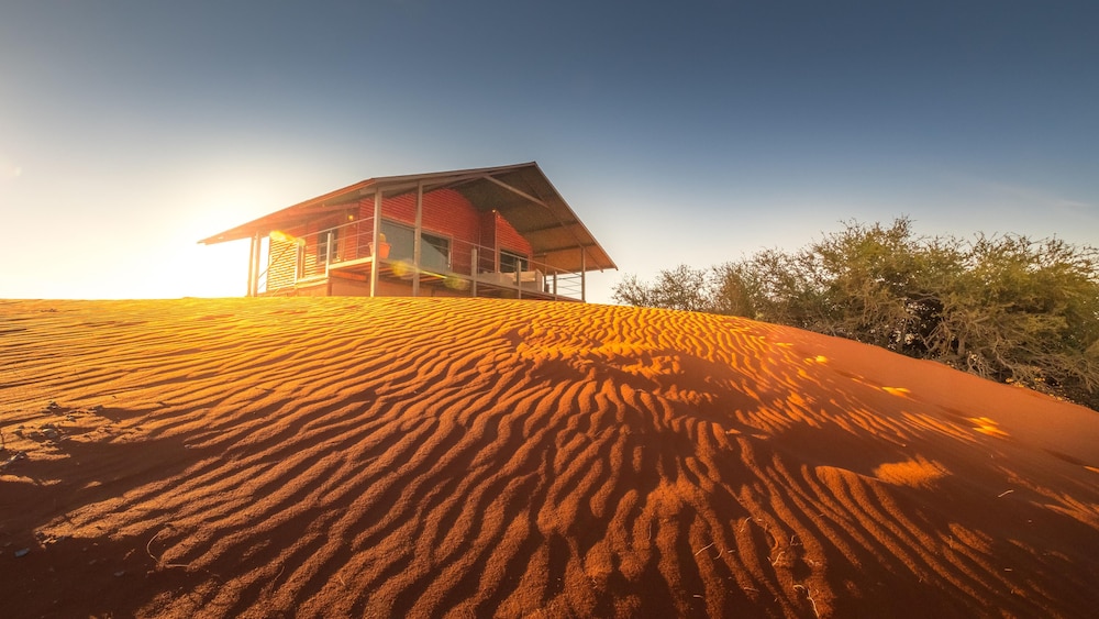Dune Chalet photo 3