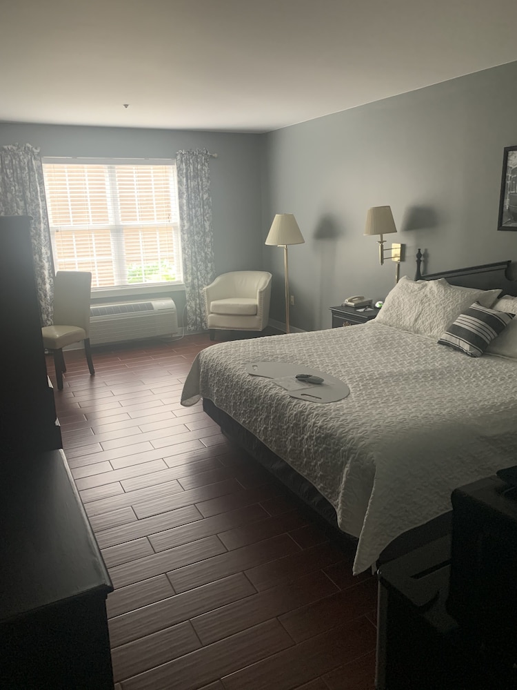 Standard Room, 1 King Bed, City View photo 2