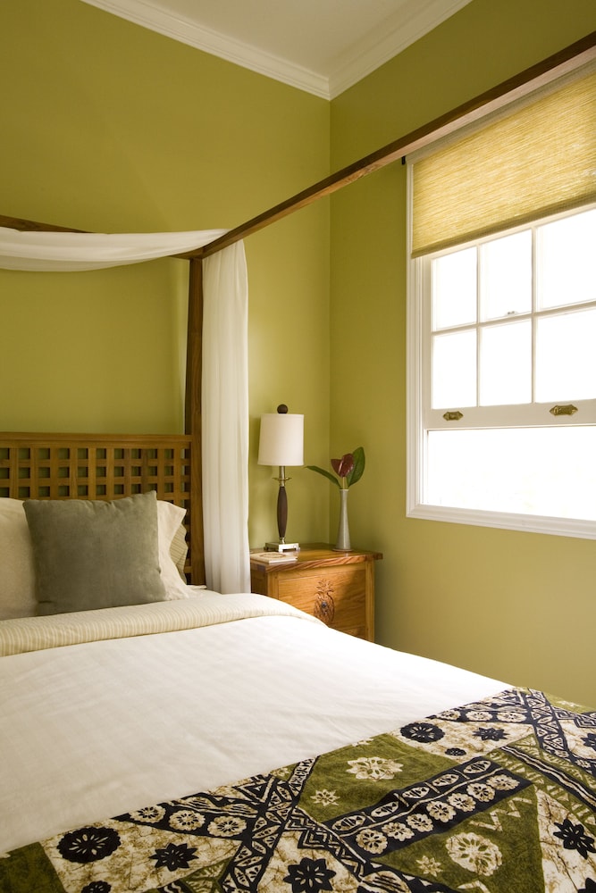 Standard Suite, 1 King Bed