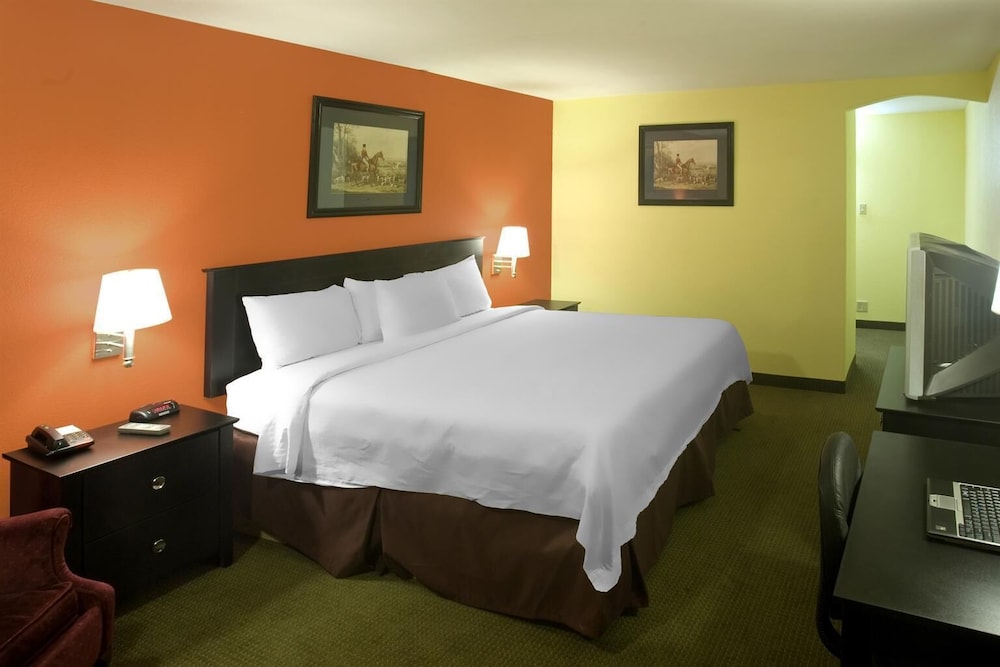 Room, 1 King Bed, Non Smoking - Photo 4