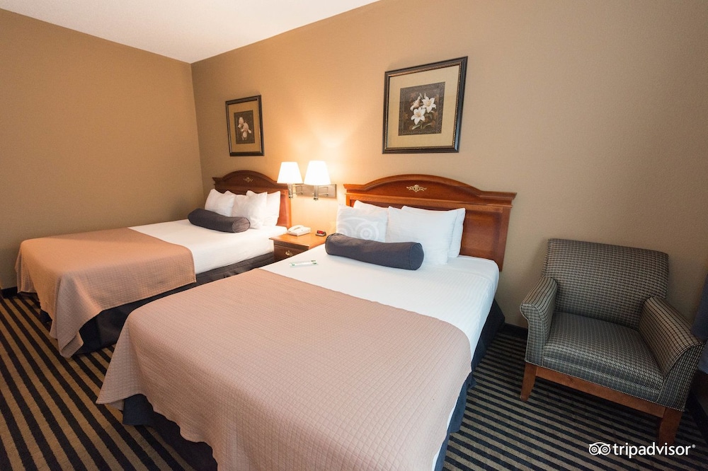 Room, 2 Queen Beds, Non Smoking, Refrigerator & Microwave photo 1
