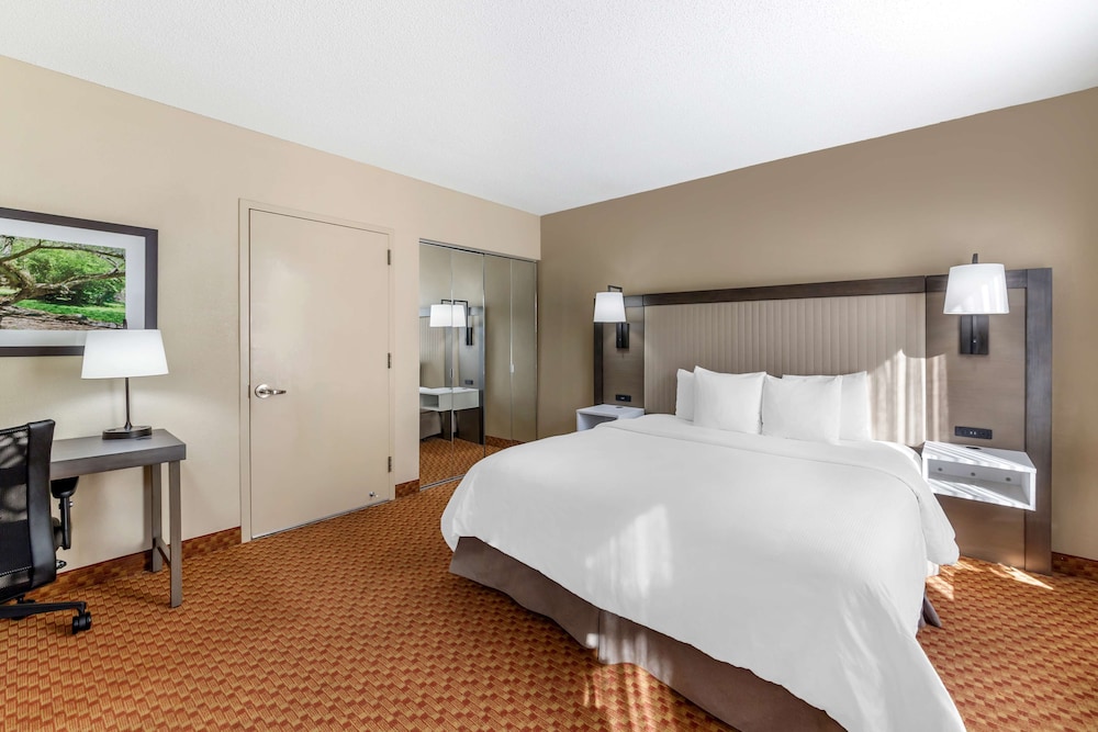 Standard Room, 1 King Bed, Accessible, Bathtub (with Sofabed) photo 3