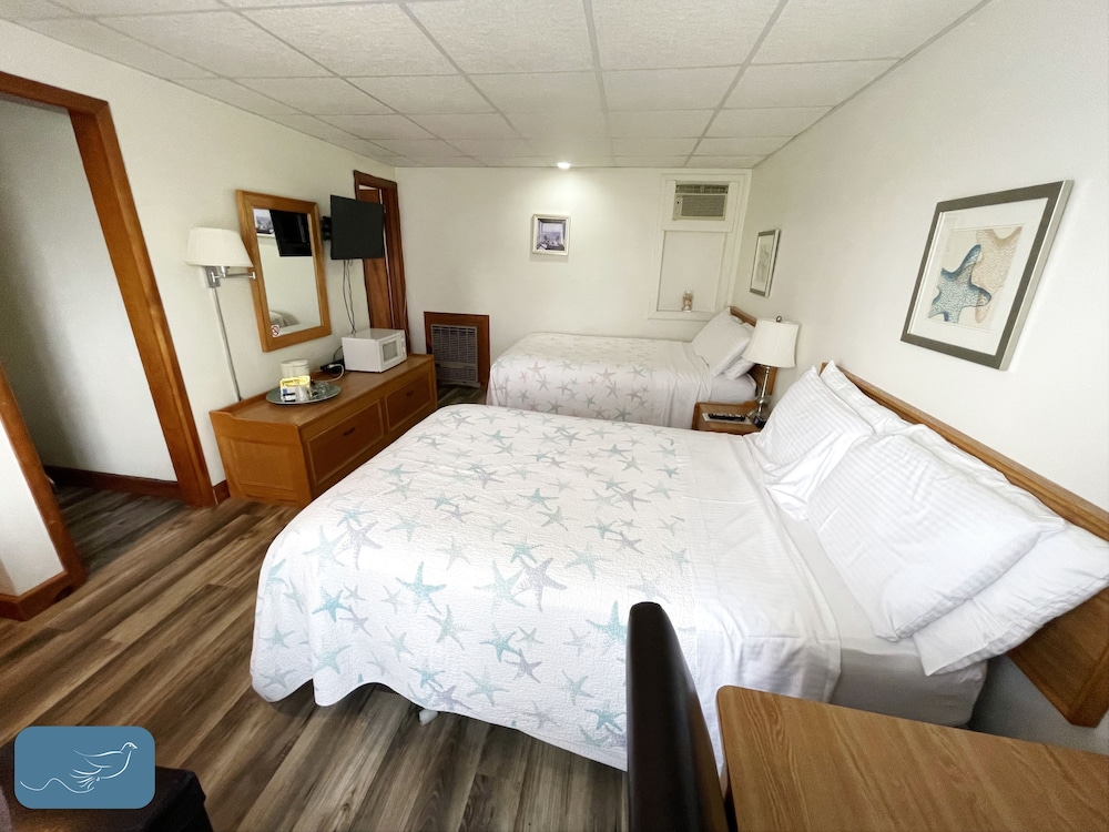 Traditional Room, Multiple Beds photo 1