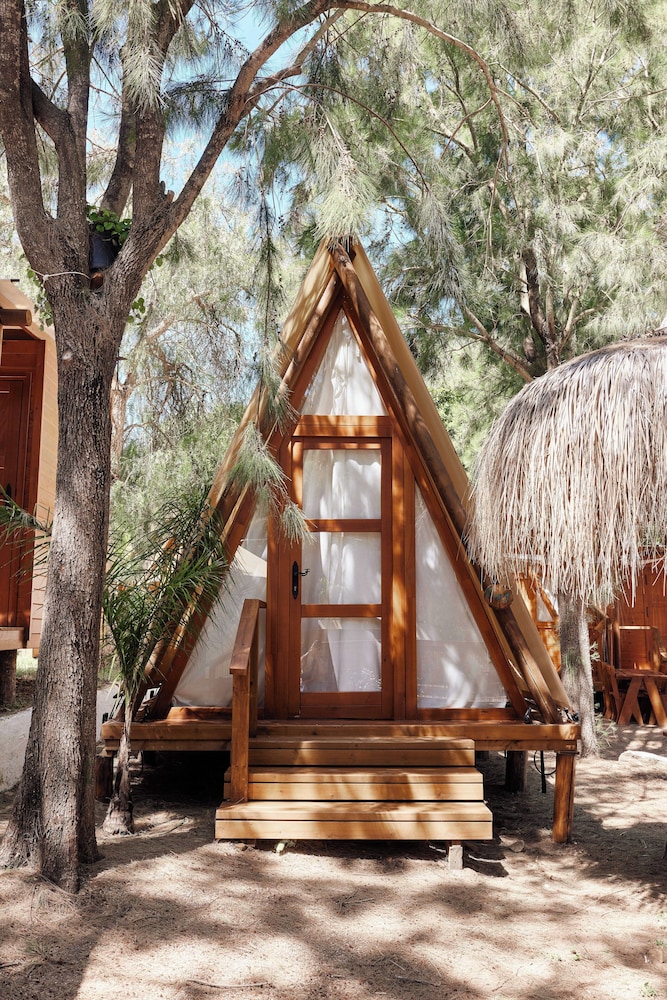 Basic Tent