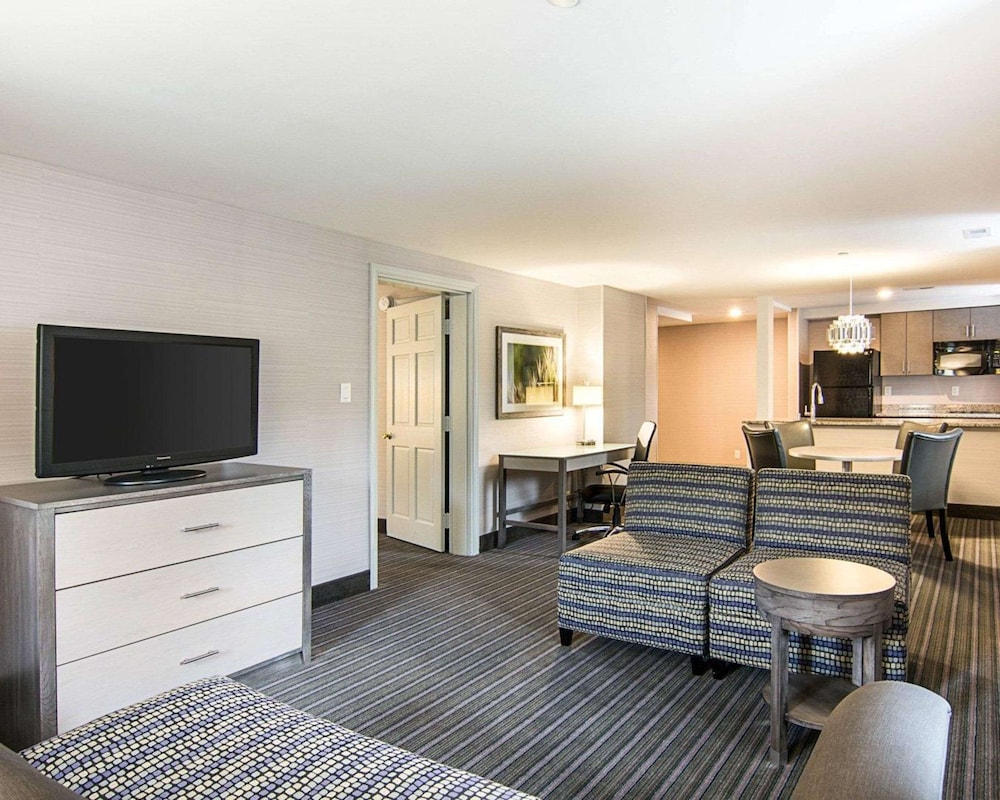 Premier Suite, 1 King Bed with Sofa bed, Non Smoking, Kitchenette (Efficiency)