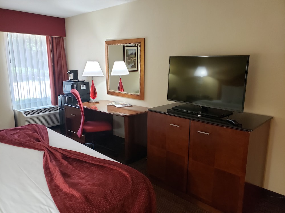 Business Single Room, 1 King Bed - Photo 2