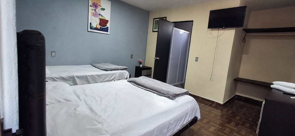 Comfort Triple Room photo 1