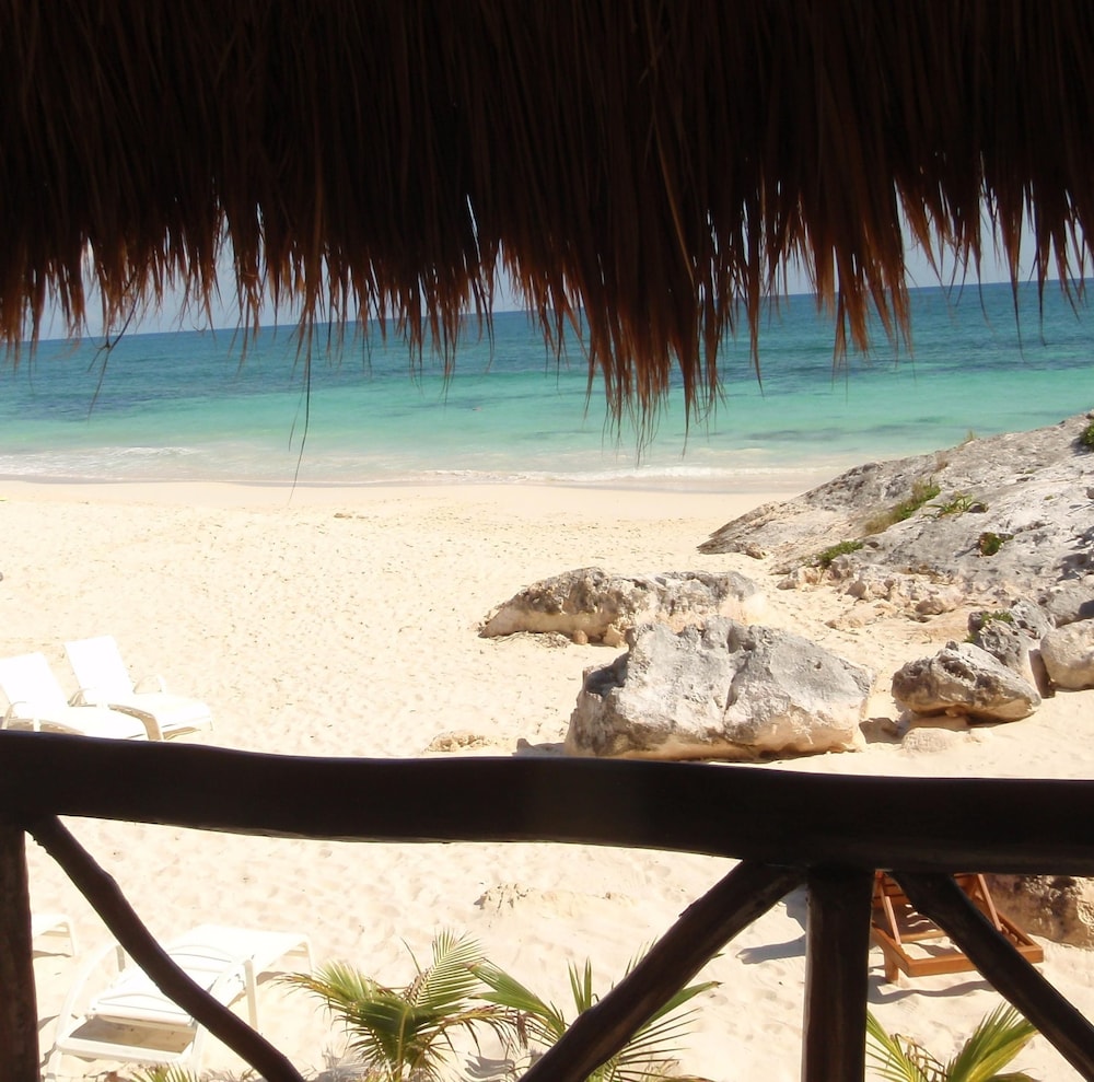 Royal Room, 1 King Bed, Oceanfront - Photo 21