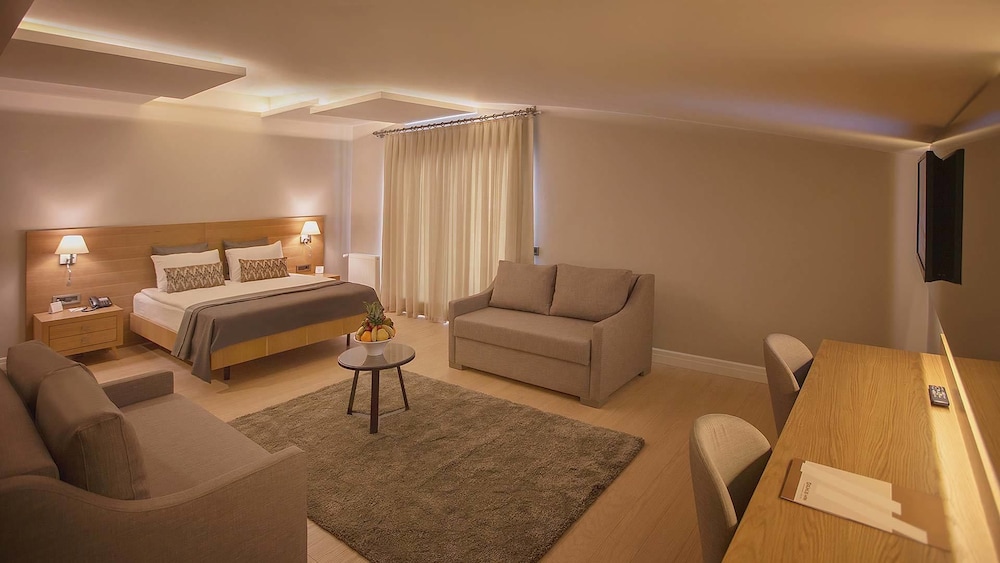 Deluxe Double or Twin Room photo 3