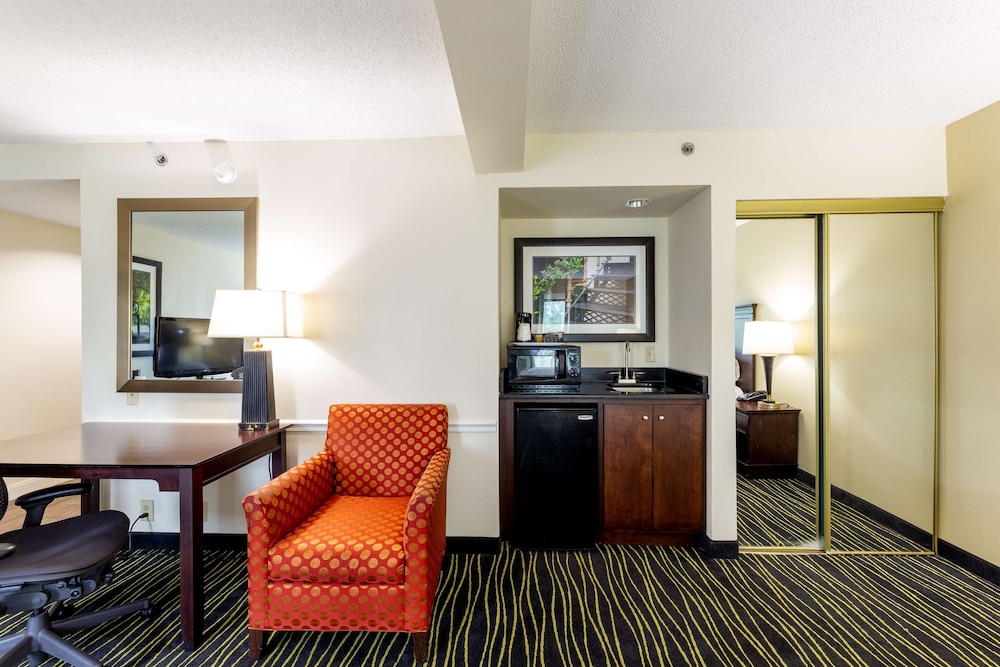 Suite, 1 King Bed, Refrigerator & Microwave, Lake View - Photo 8