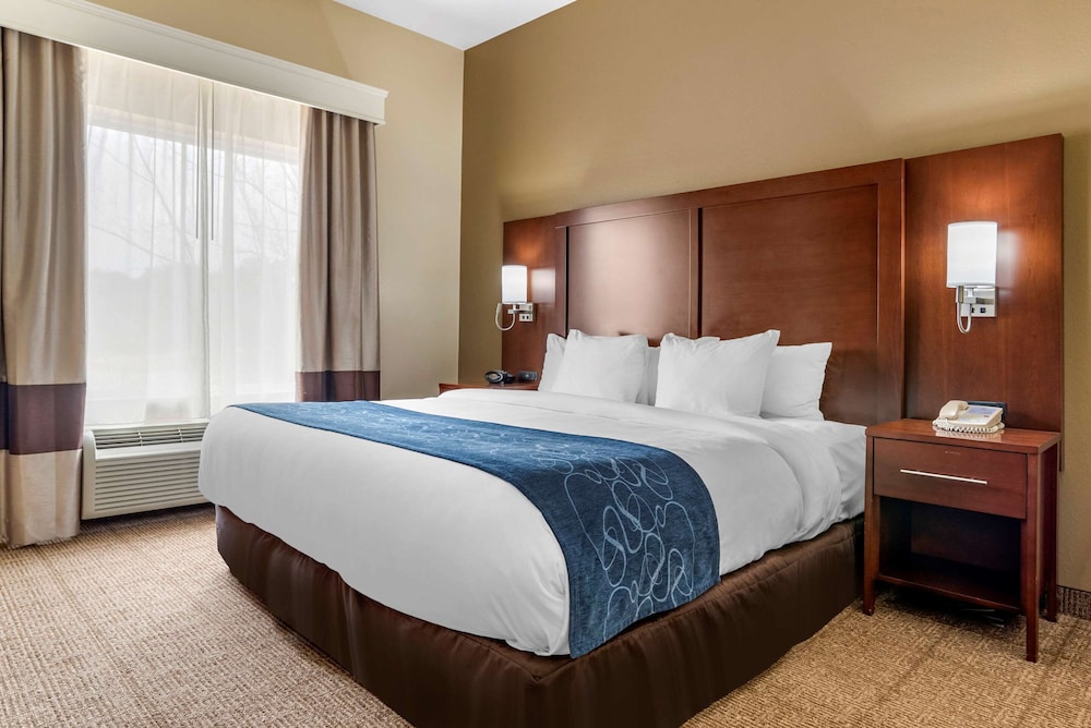 Suite, 1 King Bed with Sofa bed, Accessible, Non Smoking photo 1