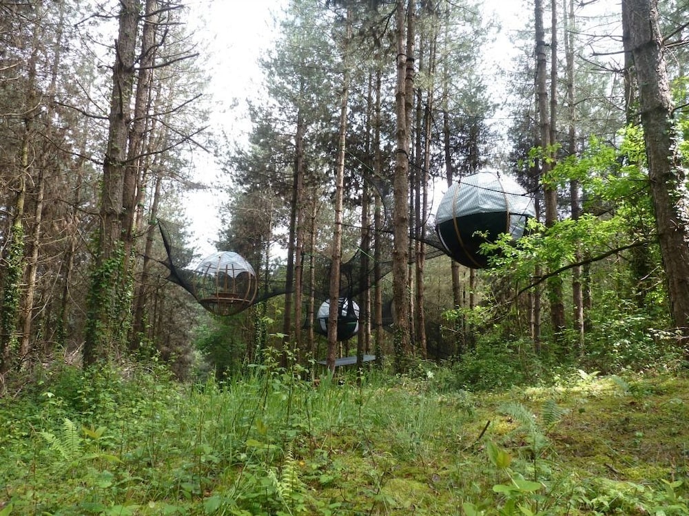 Tree House (Hiboux) photo 2