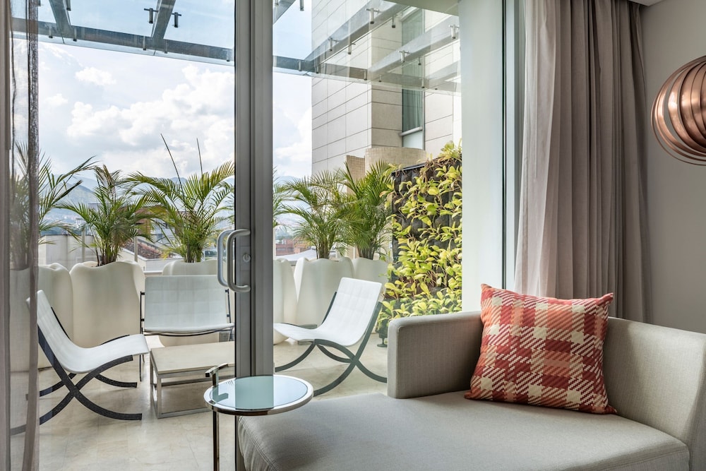 Room, 1 King Bed, Terrace photo 3