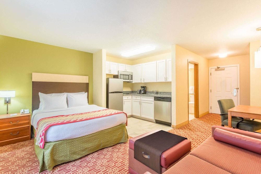 Basic Studio Suite photo 1