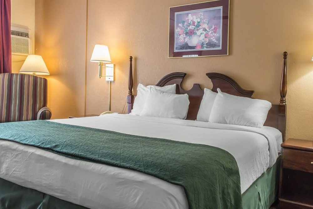 Deluxe Room, 1 King Bed, Non Smoking photo 3