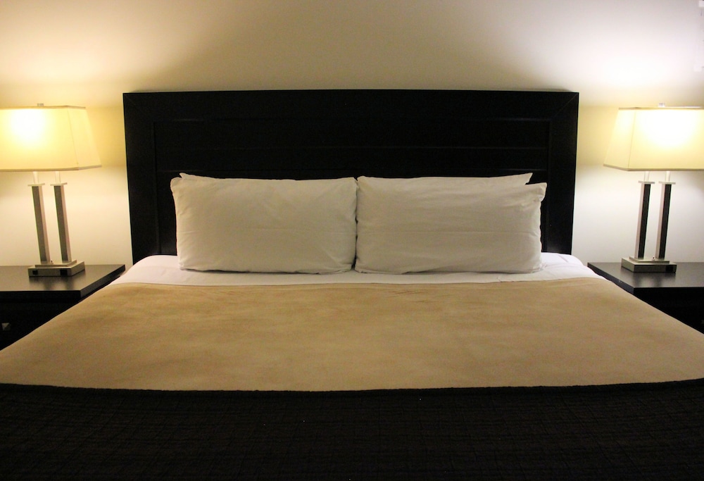 Superior Suite, 1 King Bed - Photo 1