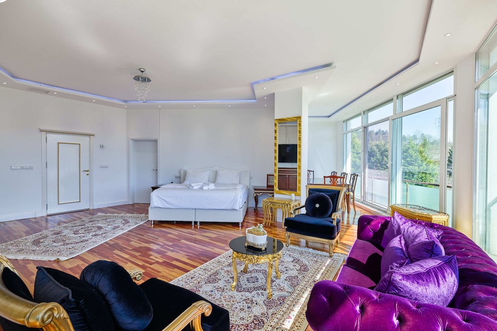 Deluxe Studio Suite, 1 King Bed with Sofa bed, Mountain View photo 2