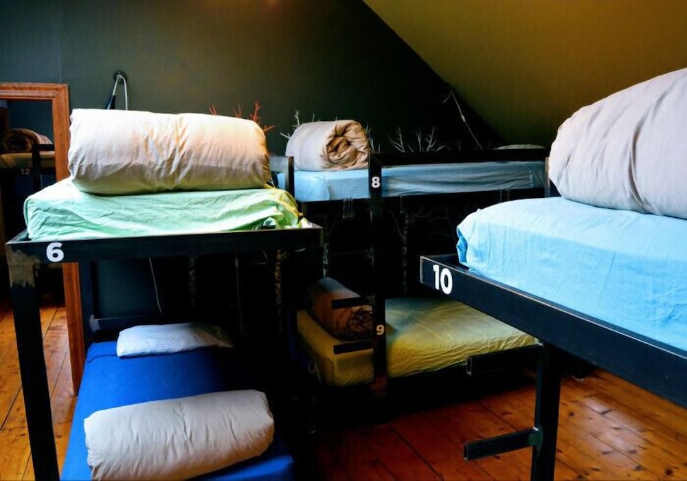 Basic Shared Dormitory, Mixed Dorm (Birch Room) photo 3