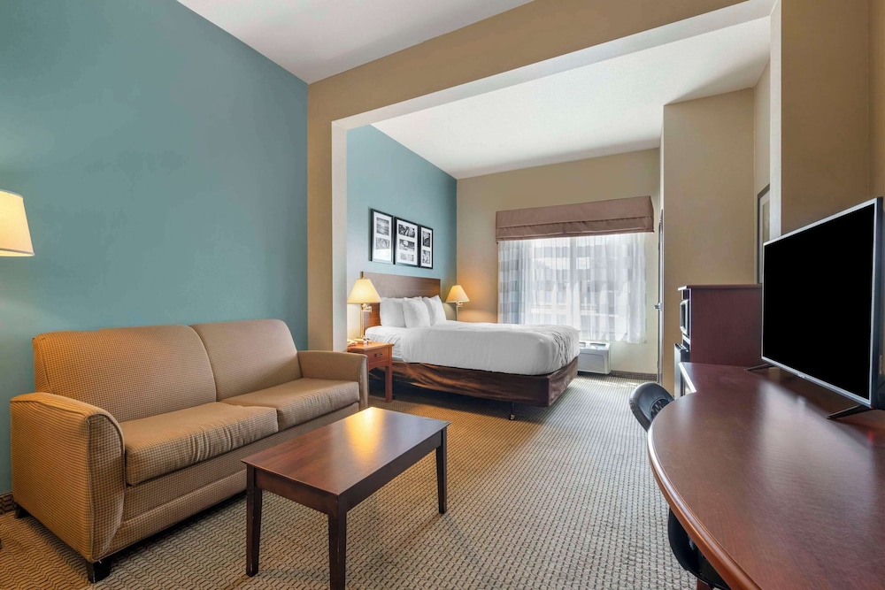 Suite, 1 King Bed with Sofa bed, Non Smoking - Photo 4