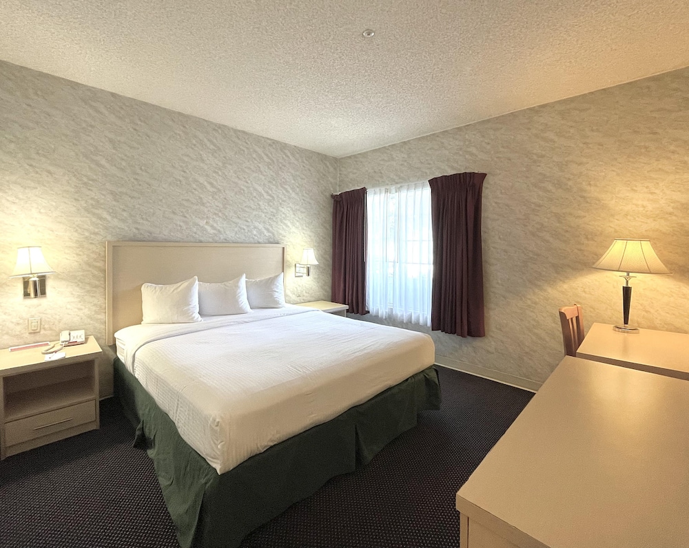 Room, 1 King Bed, Accessible, Non Smoking photo 2