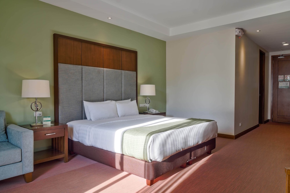 King Suite photo 3