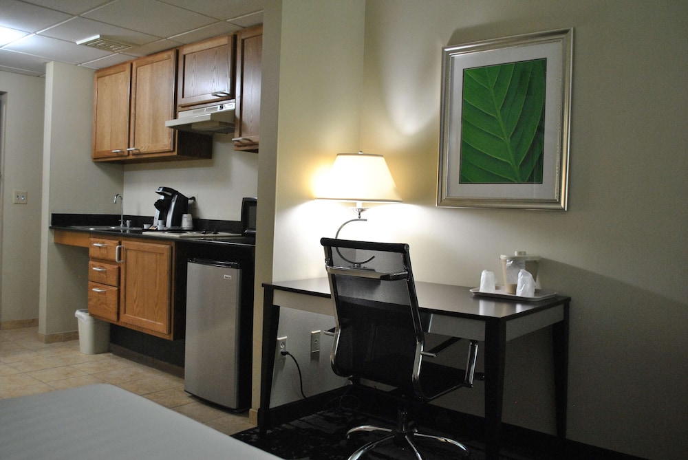 Standard Room, 2 Double Beds, Non Smoking, Refrigerator & Microwave - Photo 5