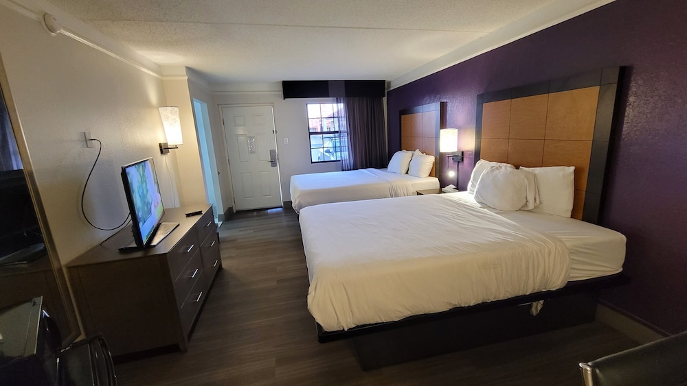 Standard 2 Queen Beds photo 1