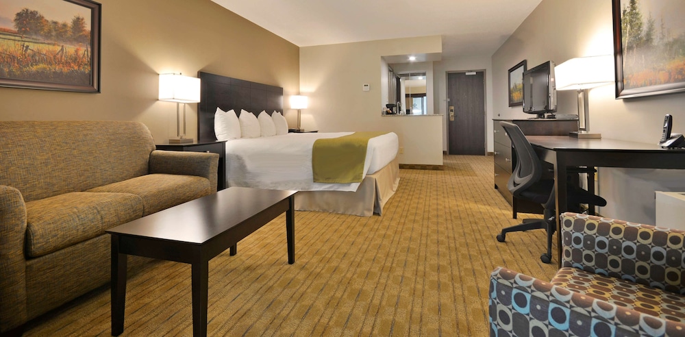 Standard Room, 1 King Bed, Non Smoking (With Sofabed) - Photo 3