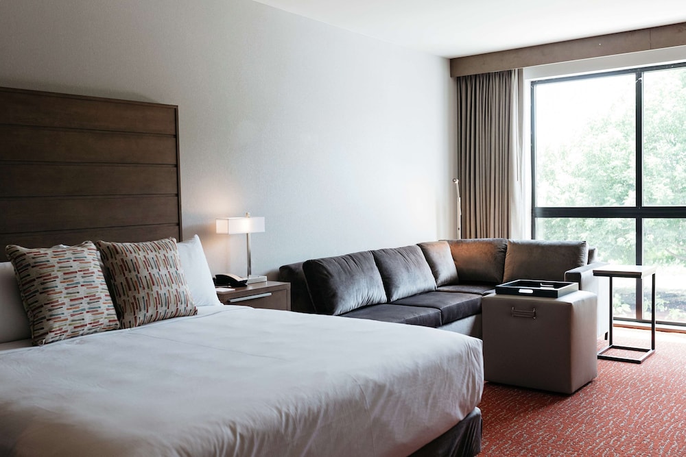 Room, 1 King Bed, Accessible (Roll-In Shower) - Photo 4