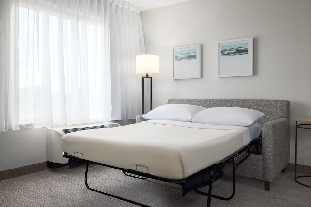 Studio, 1 King Bed with Sofa bed (View)