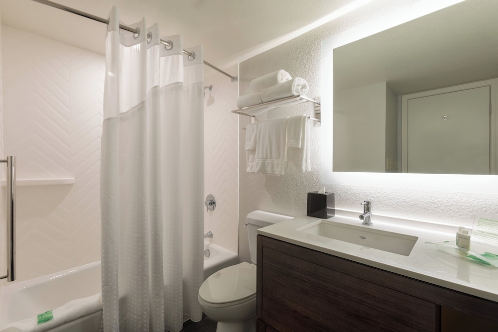 Suite, 1 King Bed