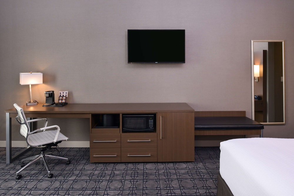 Standard Room, 1 King Bed, Accessible, Non Smoking (with Sofabed) photo 1