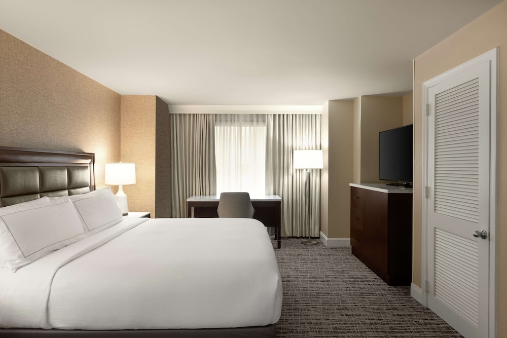 Suite, 1 King Bed - Photo 1
