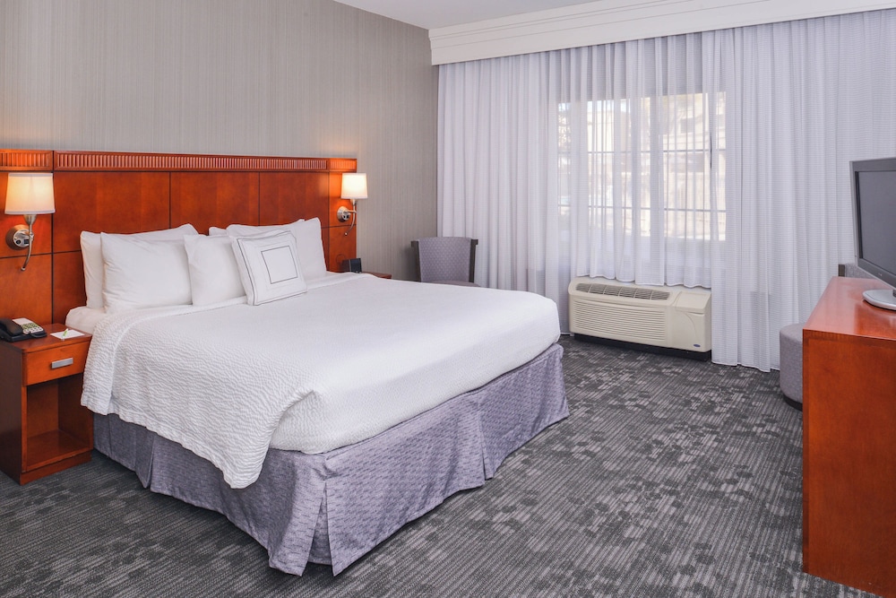 Suite, 1 Bedroom - Photo 4