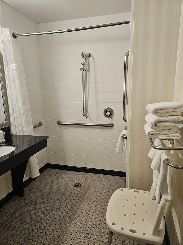 Room, 1 King Bed with Sofa bed (Mobility/Hearing Access, Roll-In Shwr) - Photo 4