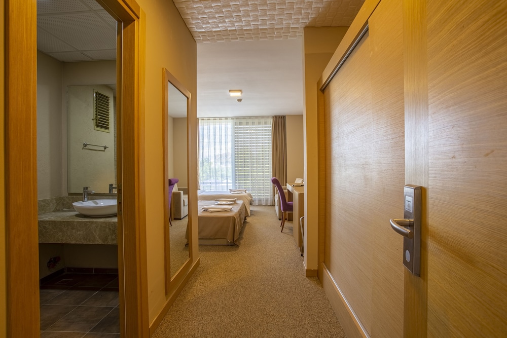 Deluxe Triple Room photo 3