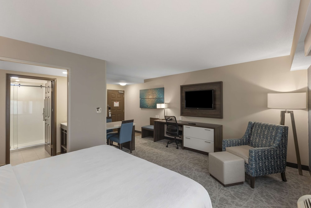Suite, 1 King Bed, Non Smoking, Kitchen (Shower Only, Full Kitchen) - Photo 3