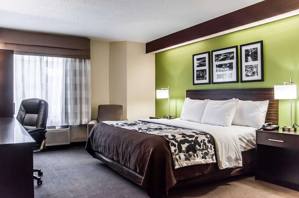 Standard Room, 1 King Bed, Non Smoking - Photo 1