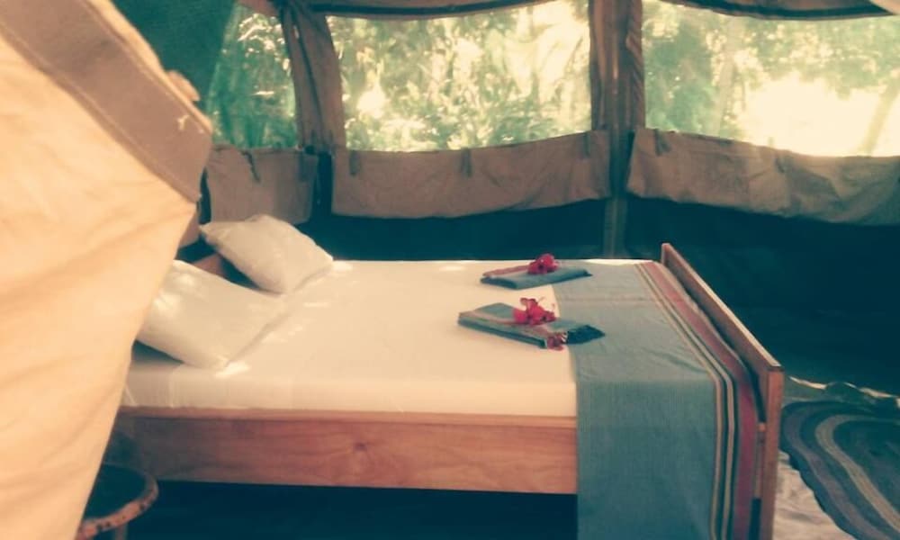 Safari Tent photo 1