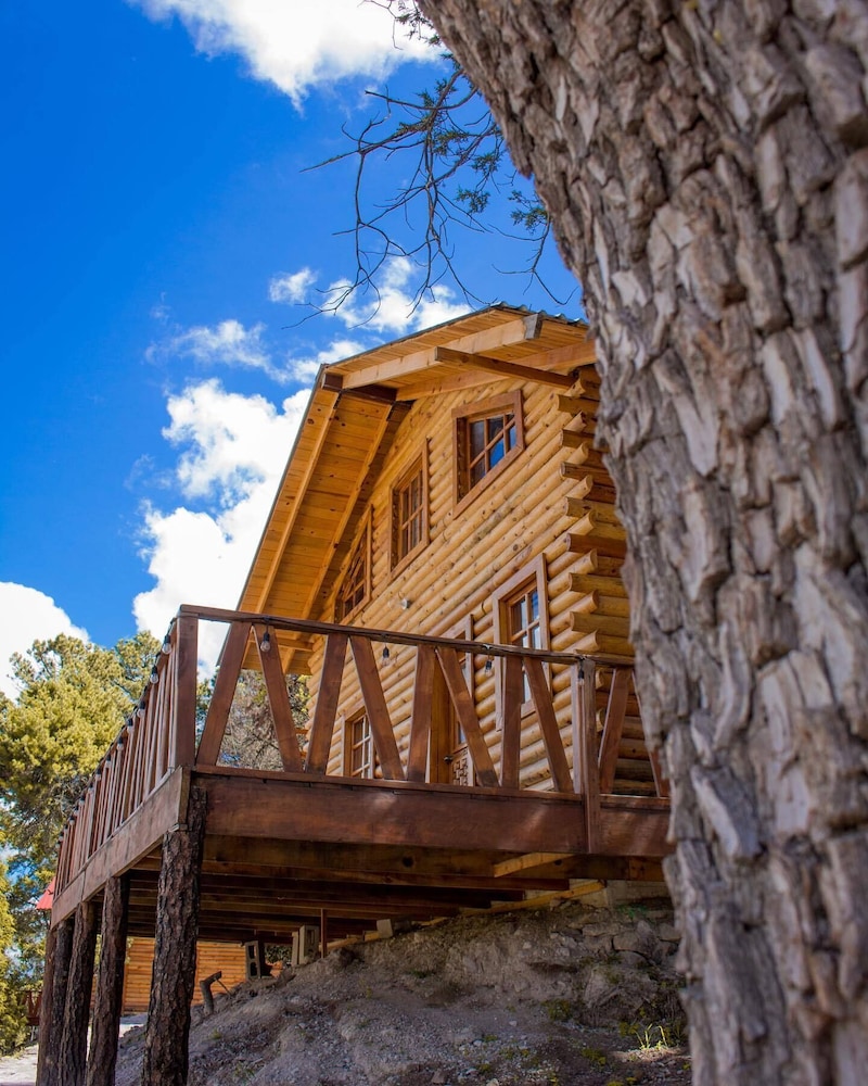 Grand Cabin