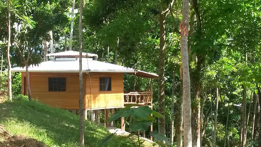 Family Cabin, 2 Bedrooms, Mountain View, Mountainside photo 1