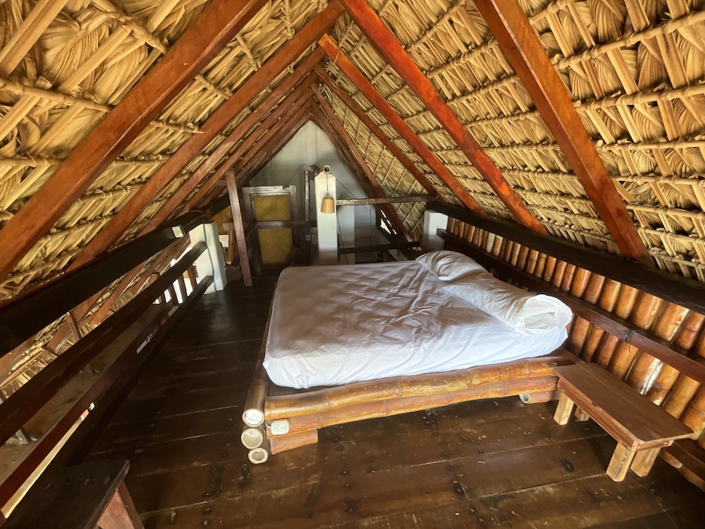 Palapa - Photo 6