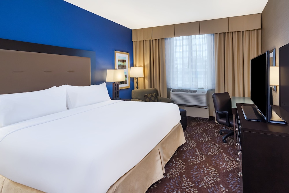 Premium Room, 1 King Bed, Accessible (Communication, Mobility) - Photo 2