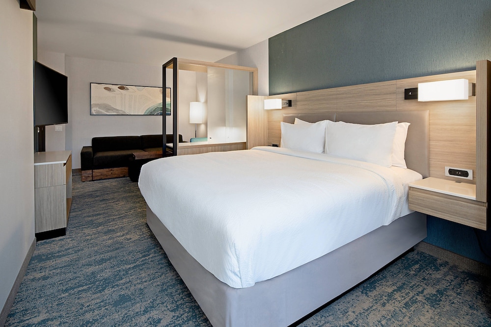 Suite, 1 King Bed - Photo 1