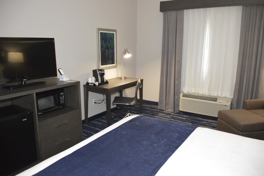 Standard Room, 1 King Bed, Accessible, Refrigerator & Microwave - Photo 3