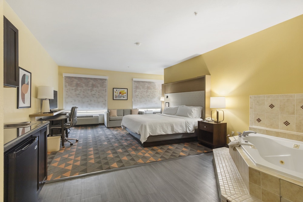 Standard Room, 1 King Bed, Accessible, Jetted Tub (Mobility Tub) - Photo 3