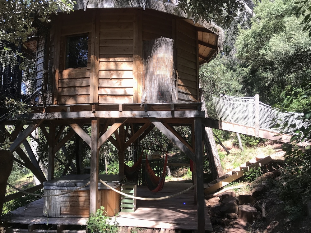 Perched Cabin with private spa photo 3