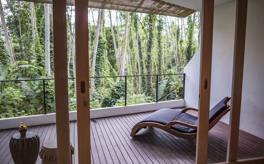 The Nature Suite - Photo 12